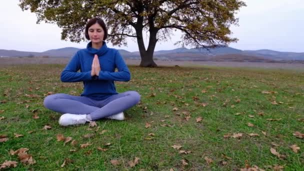 Νεαρή αθλητική Ασιάτισσα διαλογίζεται στον αγρό από την παλιά βελανιδιά, zen yoga διαλογισμό πρακτική στη φύση - Πλάνα, βίντεο