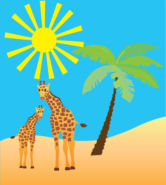 giraffe - Vettoriali, immagini