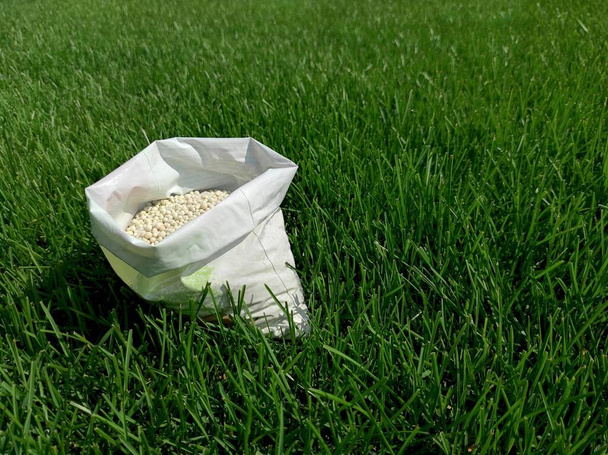 Engrais pour gazon, pelouse, pré dans un sac de granulés blancs sur un fond d'herbe verte. Gros plan des granules d'engrais minéraux utilisés sur les pelouses et les jardins d'herbe pour maintenir la santé et la croissance. - Photo, image