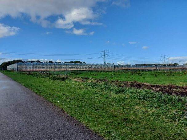 Prados verdes y campos con invernaderos en la zona de Groene Zoom entre Nieuwerkerk y Capelle aan den IJssel - Foto, Imagen
