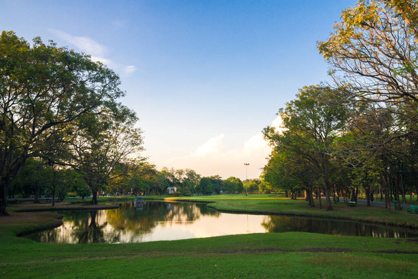 池を背景にした緑の公園での夕日 - 写真・画像