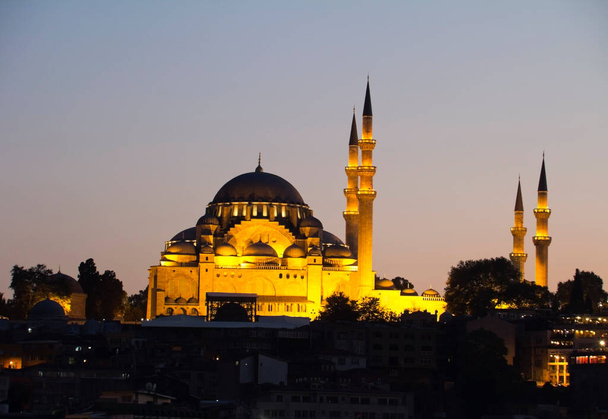 Suleymaniye mosque in Istanbul - Photo, Image