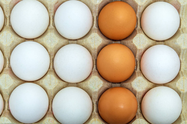 Huevos de pollo frescos blancos y marrones en bandeja. El huevo es el ingrediente principal para cocinar - Foto, Imagen