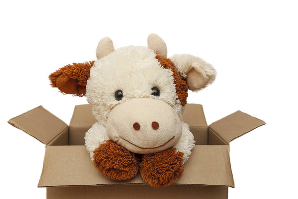 Soft toy bull in a cardboard box. Toy white bull looks out of the box - Fotoğraf, Görsel