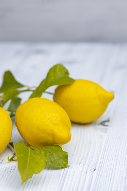 stilleven met citroenen met bladeren uit Sorrento - Foto, afbeelding