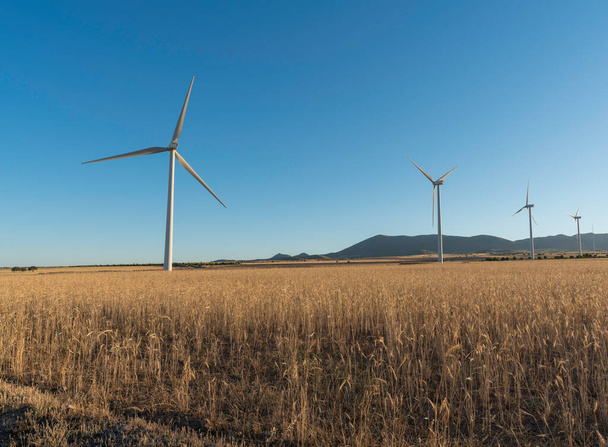 Windkraftpark in Südspanien, dort wächst Gerste, der Himmel ist klar - Foto, Bild