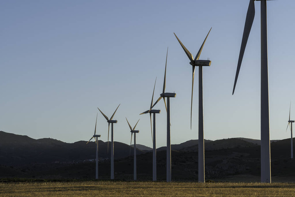Парк ветряных турбин на юге Испании, есть ячменное поле, небо чистое - Фото, изображение