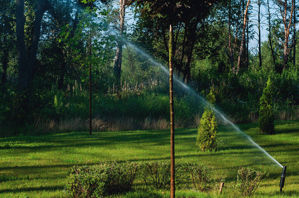 Sprinkler sprühen Wasserflächen auf Seitenwand und grünes Gras im Stadtpark - Foto, Bild