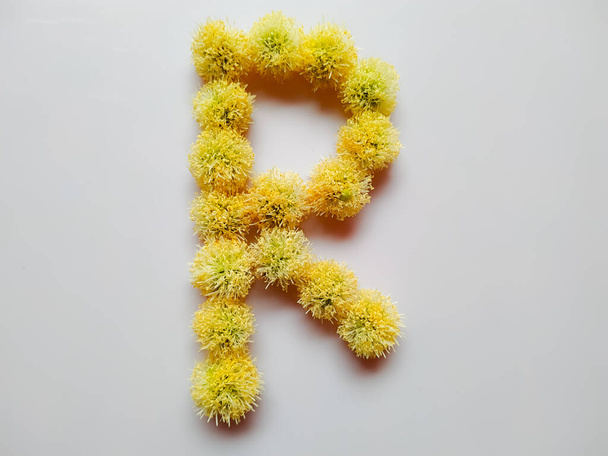 Letter R alfabet gemaakt met Leucaena leucocephala of rivier tamarinde bloemen over witte achtergrond - Foto, afbeelding