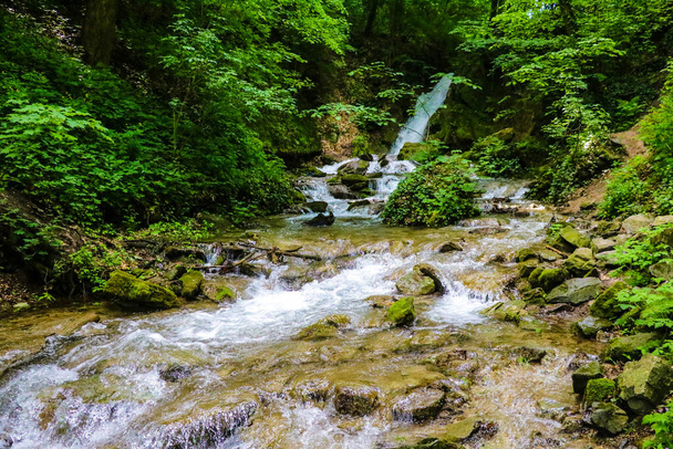 Vuoristojoki virtaa vihreän metsän läpi. pehmeä keskittyminen, keskittymiskyvyn puute - Valokuva, kuva