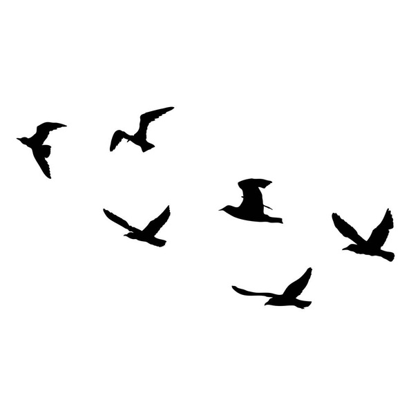 Set of seagulls birds, nautical sailor tattoo sketch. Black stroke of flying sea gull silhouettes on white background. Marine set. Drawings of different shapes of water birds in the flock. Vector. - Vektor, Bild