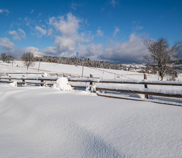 Alpine mountain snowy winter fir forest and snow drifts near wood fence on secondary countryside road wayside - Фото, зображення