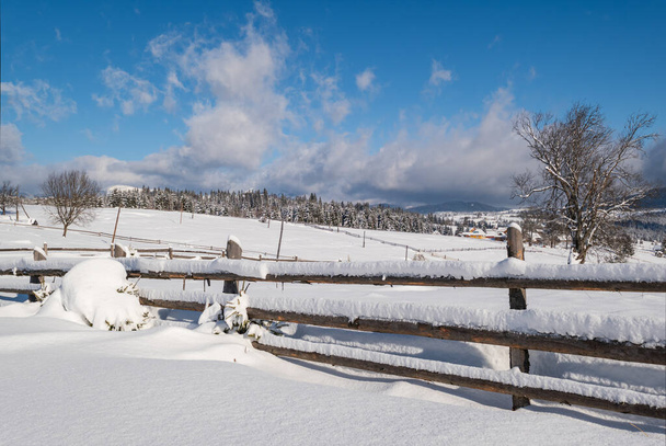 Alpine mountain snowy winter fir forest and snow drifts near wood fence on secondary countryside road wayside - Φωτογραφία, εικόνα