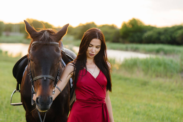A young pretty girl in a red dress poses on a ranch with a thoroughbred stallion at sunset. Love and care for animals - Fotoğraf, Görsel