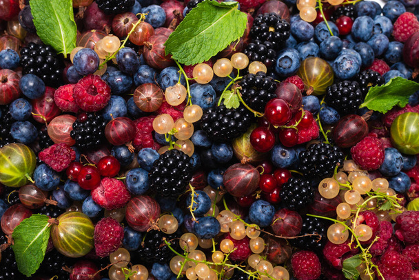Gooseberries, blueberries, mulberry, raspberries, white and red currants background.  - Фото, зображення