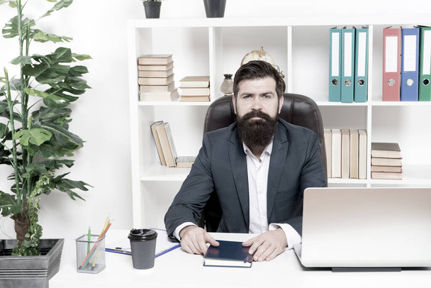 Lawyer agency. Man bearded hipster boss sit in leather armchair office interior. Boss at workplace. Manager formal clothing corporate style working. Business people concept. Busy boss in office - Photo, image