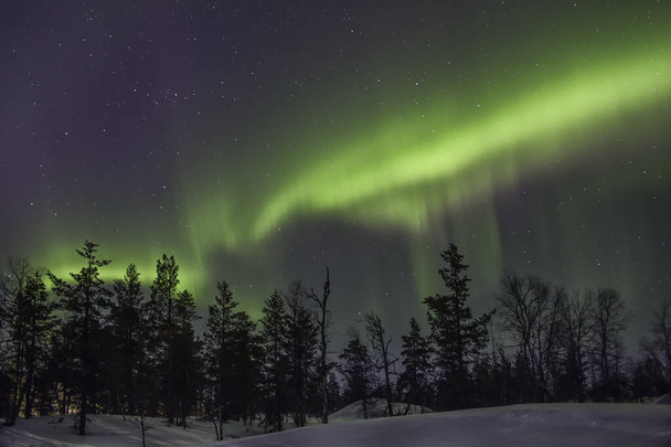 Polarlicht boreal con forma de hongo - Foto, Bild
