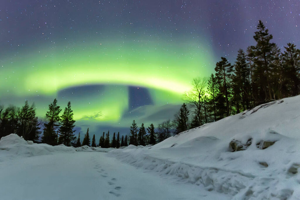 Camino nevado con huellas bajo la luz de la aurora boreal - Fotoğraf, Görsel