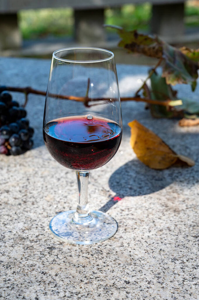 Szabadtéri kóstoló különböző erődített évjáratú portói borok poharakban napsütéses ősszel, Douro Valley, Portugália, közelkép - Fotó, kép