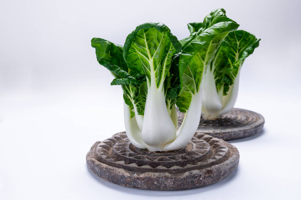 Giovane organico bianco bok choy o bak choi cavolo cinese isolato su sfondo bianco - Foto, immagini