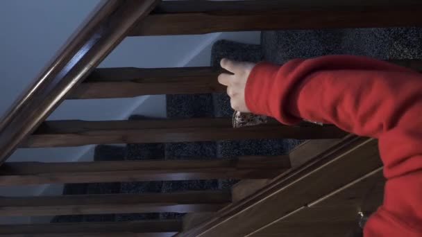 Νεαρό θηλυκό παιδί βάζοντας επάνω διπλό τόξο Χριστουγέννων με το σχέδιο Κεράσια χιονιού στις ακίδες Σκάλα. Κατακόρυφο βίντεο, κλειδωμένο - Πλάνα, βίντεο