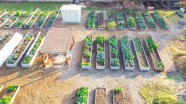 Вид с воздуха на деревянную перголу и небольшой сарай рядом с рядами приподнятых грядок в общинном саду в Далласе, Техас, Америка. Общественные участки с выращиванием овощей - Фото, изображение
