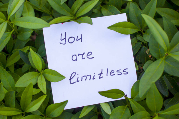 Textur der frischen grünen Blätter mit Papier und Notiz "Sie sind grenzenlos" - Foto, Bild