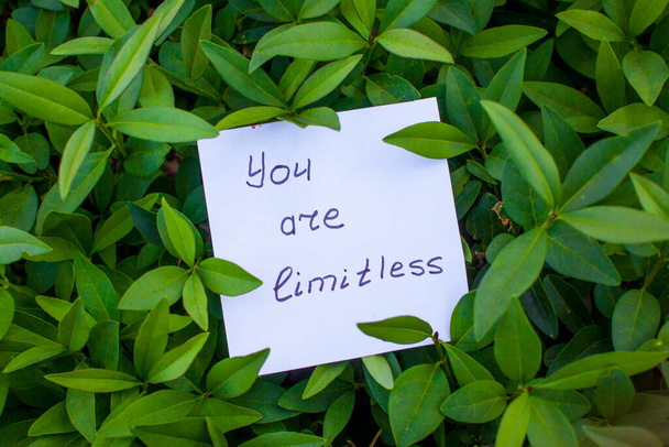Tekstura świeżych zielonych liści z papieru i notatki "jesteś nieograniczony" - Zdjęcie, obraz