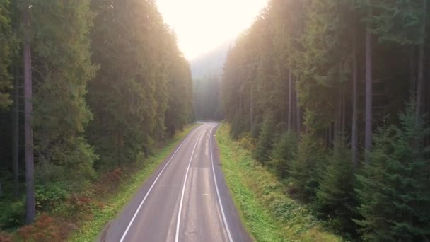 Paisaje camino de montaña a través del bosque. Vista del dron - Metraje, vídeo