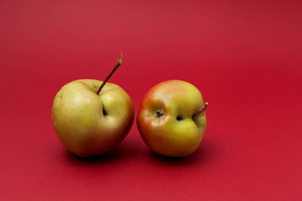 Two green ugly apples with flaws on red background. Selective focus, copy space. Concept - Food waste reduction. Using in cooking imperfect products. - Foto, Imagen