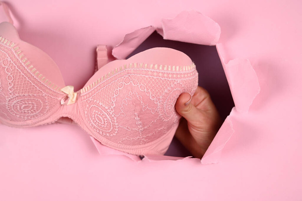 Pink bra on a pink background. High quality photo - Photo, Image