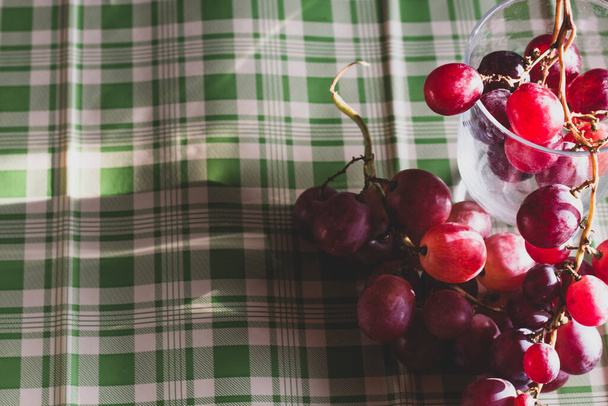 Red grapes, large bunch of fruits, fresh and tasty simple food with brights red and violet colors on a green background in an amazing composition - Fotografie, Obrázek