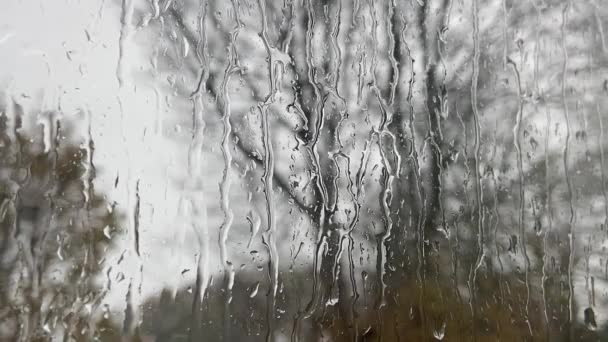 vítr a dešťová voda padající na okenní tabule stromů viditelné přes vodní pozadí - Záběry, video