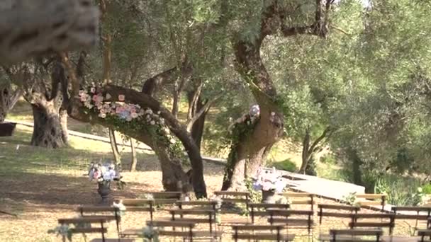 Lugar de la boda en el olivar con árboles decorados, ramos de flores y sillas - Metraje, vídeo