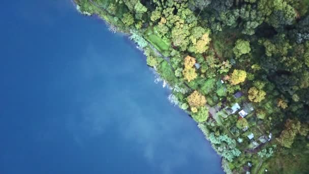 Aerial top down amazing landscape view of deep mountain lake. Drone flies over beautiful lakeshore with tall pine trees and green plants. Clean turquoise water. Untouched nature from above - Footage, Video