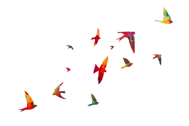 Vogelaquarel. Een kudde kleurrijke vogels. Vector - Vector, afbeelding