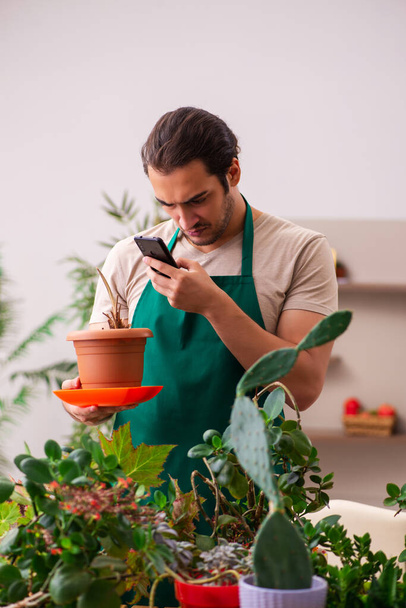 Молодой садовник с растениями в помещении - Фото, изображение