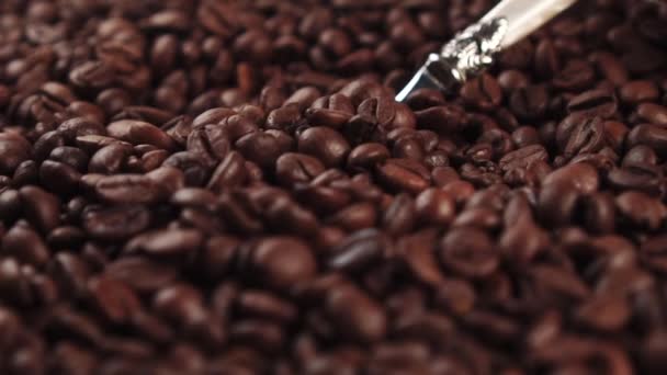 Stir roasted coffee beans with a metal spoon. Close up. Slow motion - Video, Çekim