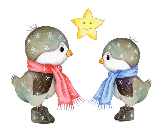 Watercolor hand drawn isolated illustration. 2 cute cartoon winter birds. - Fotografie, Obrázek