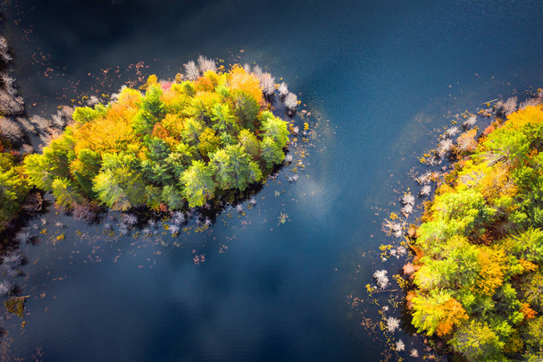 Μια όμορφη φθινοπωρινή ματιά κάτω αεροφωτογραφία μιας μικρής χερσονήσου καλυμμένης με αειθαλή και φθινοπωρινή φυλλοβόλα δέντρα κορυφές στα μπλε νερά μιας λίμνης στο άνω Michigan. - Φωτογραφία, εικόνα