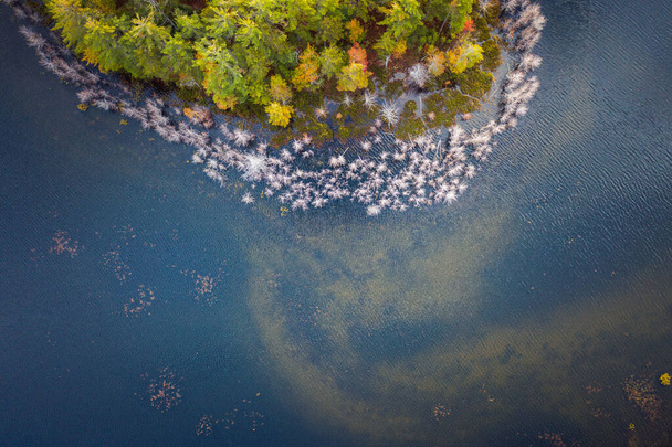 Krásné cestování podzim pozadí antény pohled dolů fotografie části ostrova v jezeře v Horním Michiganu s podzimním listoví barvy začínají zobrazovat mezi lesem věčně zelených stromů. - Fotografie, Obrázek