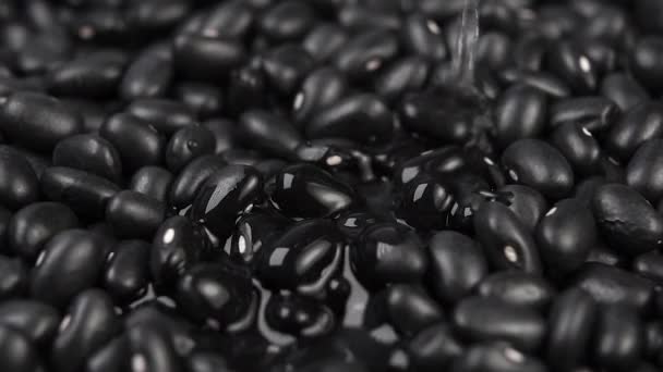 Close up of washing black beans under running water. Macro shot. Rotation, selective focus. Slow motion - Filmmaterial, Video