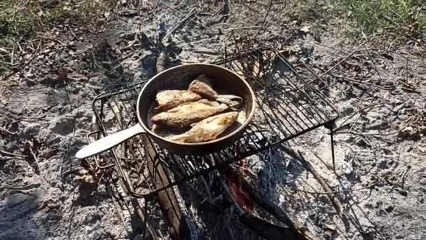 新鮮な魚を調理するキャッチ。釣りに成功。火で揚げたおいしい料理 - 映像、動画
