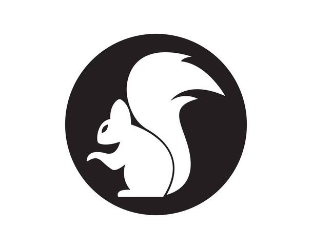 Squirrel logo template illustration design - Vector, Image