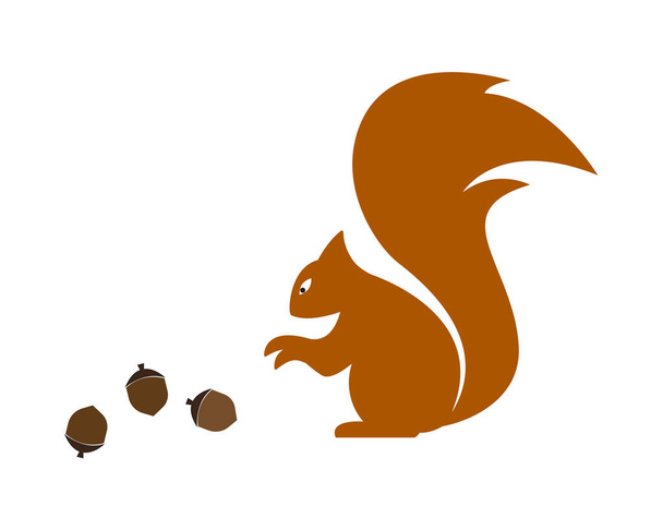 Modèle de logo écureuil illustration design - Vecteur, image