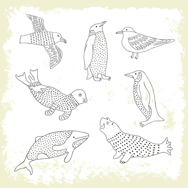 Antarctic animals sketch set. - Vecteur, image