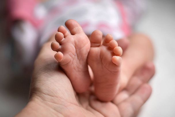 Äidin kädessä on vastasyntyneen vauvan jalat. Sulje se. - Valokuva, kuva