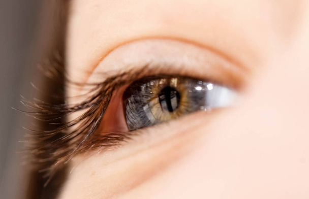 Makroobraz kobiecego oka z długimi rzęsami. Widok dolny. - Zdjęcie, obraz