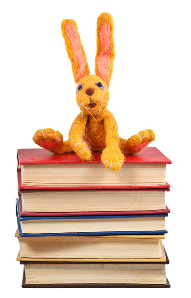 juguete suave conejo se sienta en viejos libros
 - Foto, Imagen