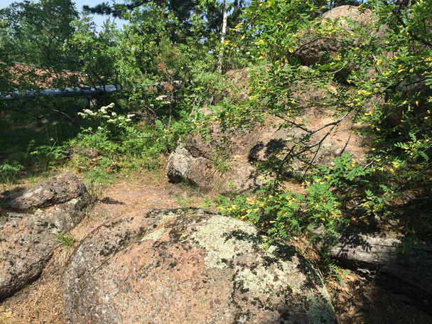 hatalmas kövek az erdőben Krasznojarszk - Fotó, kép